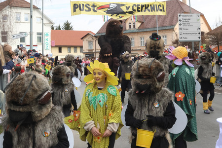 ZLATA POROKA PUSTNI KARNEVAL 48 FOTO LJUBO VUKELIČ